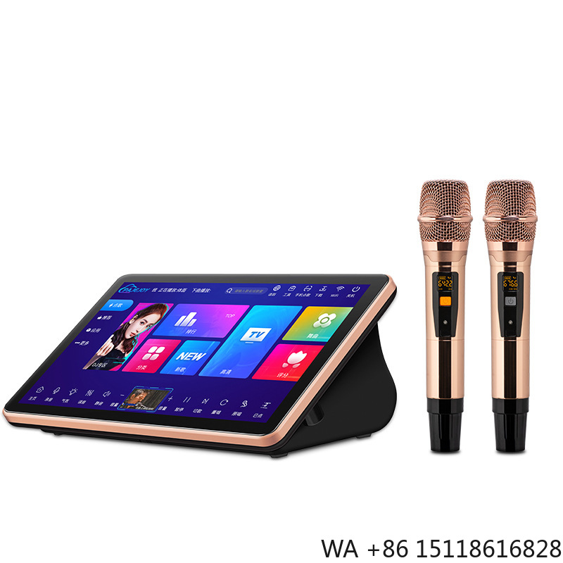 Outdoor Furniture Brand - Brand New Professional KTV Karaoke Sound